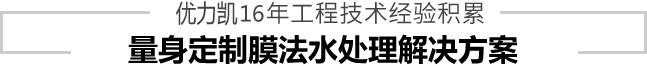 量身定制膜法水处理解决方案